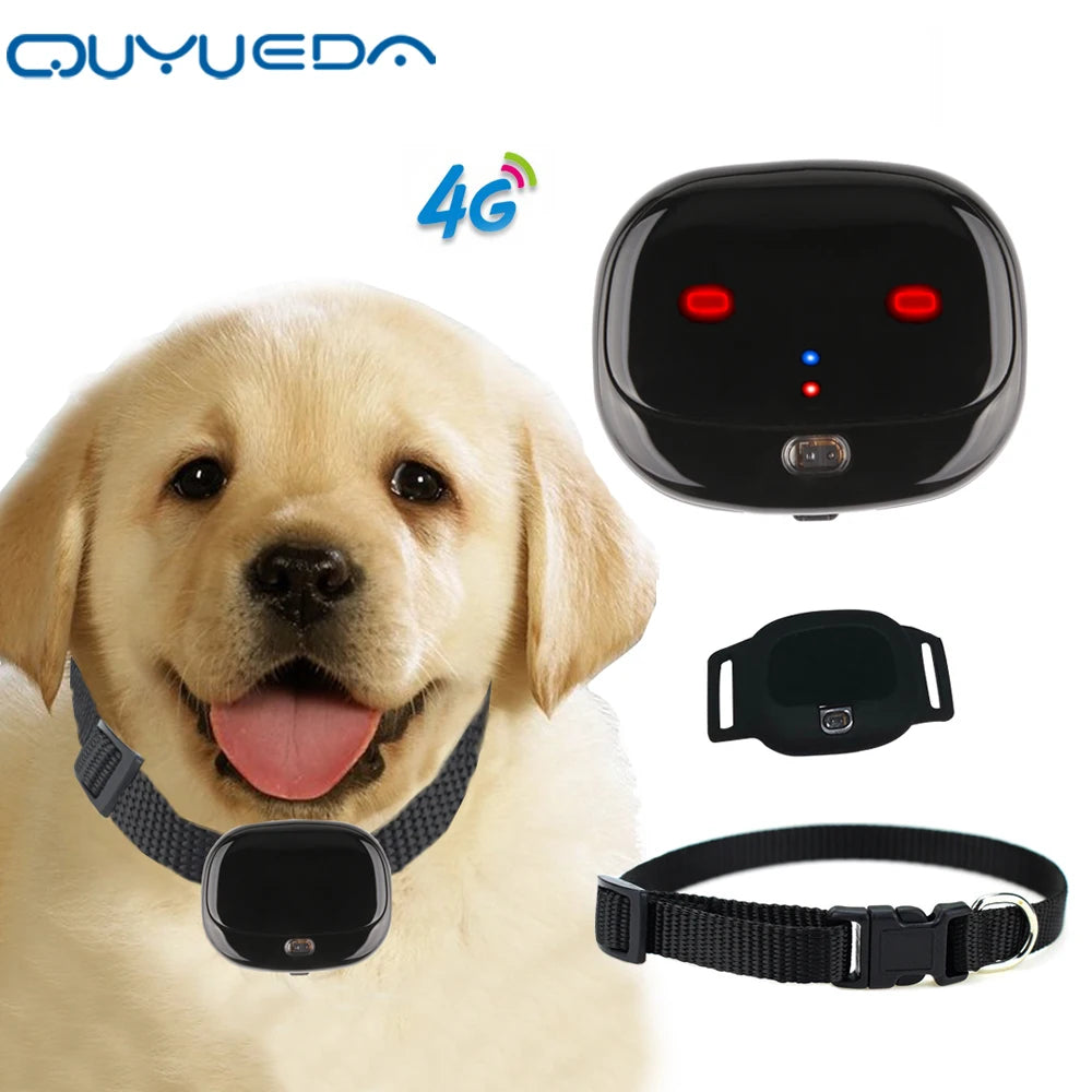 4G GPS Pet Tracker with Geo-Fence and WiFi positioning for dogs