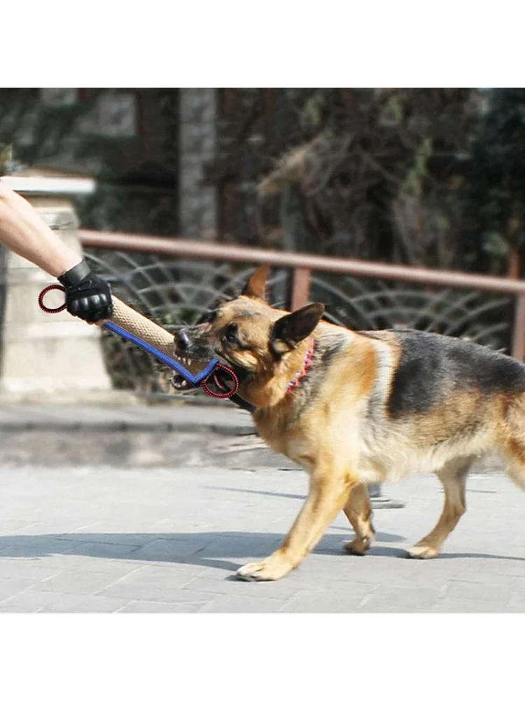 Training dogs to use coarse jute chew sticks to pick up molars, dog chew sticks, German shepherd dog chew pillows